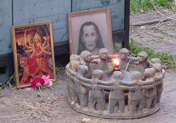 Samadhi-Insights-Srivasu-Yogi-Puja