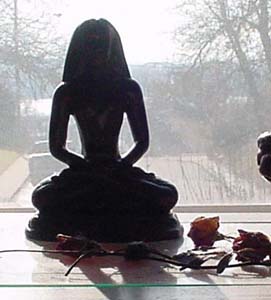 Samadhi-Insights-Srivasu-Yogi-Babaji