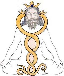 Samadhi-Insights-Srivasu-Yogi-Kundalini